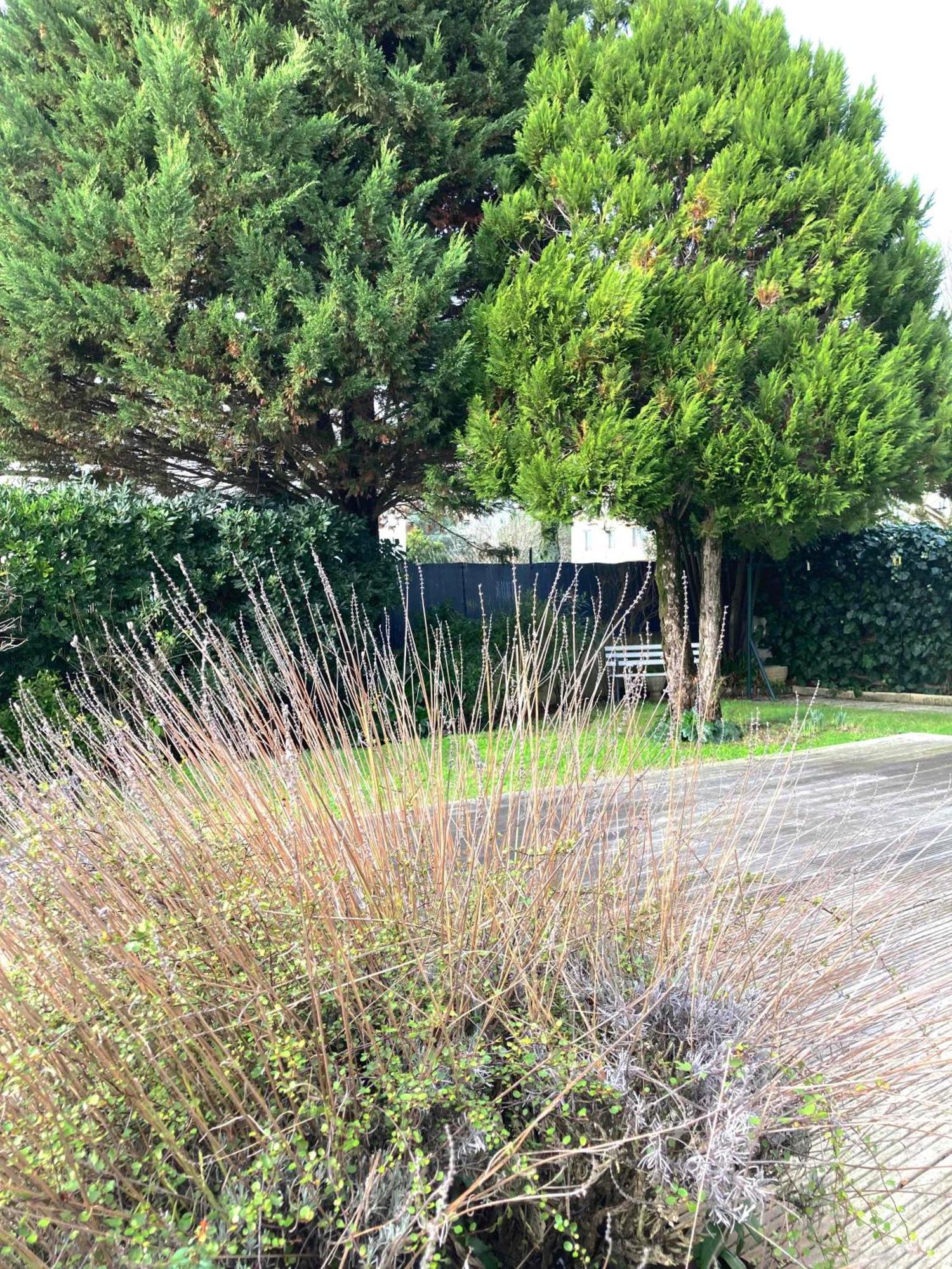 Maison Centre Ville Avec Jardin , Terrasse, Et Garage Velos La Rochelle  Extérieur photo